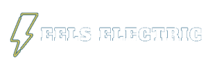 Eels Electric